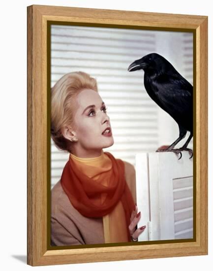 Les Oiseaux THE BIRDS d'Alfred Hitchcock with Tippi Hedren, 1963 (photo)-null-Framed Stretched Canvas