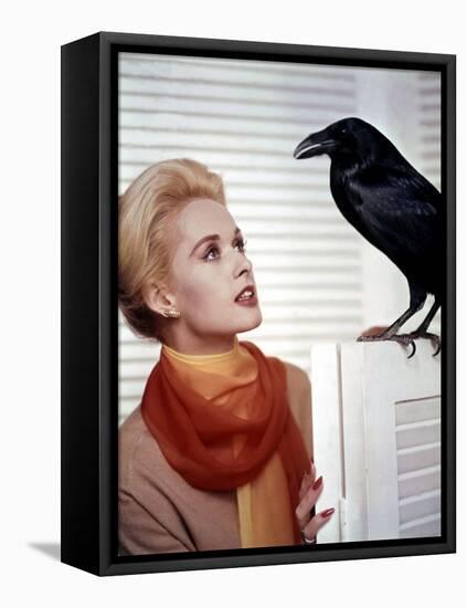 Les Oiseaux THE BIRDS d'Alfred Hitchcock with Tippi Hedren, 1963 (photo)-null-Framed Stretched Canvas