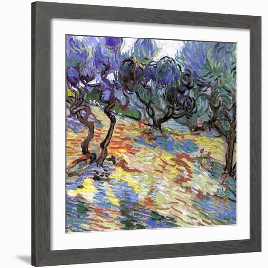 Les oliviers-Vincent van Gogh-Framed Art Print