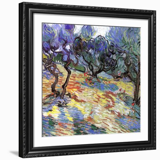 Les oliviers-Vincent van Gogh-Framed Art Print