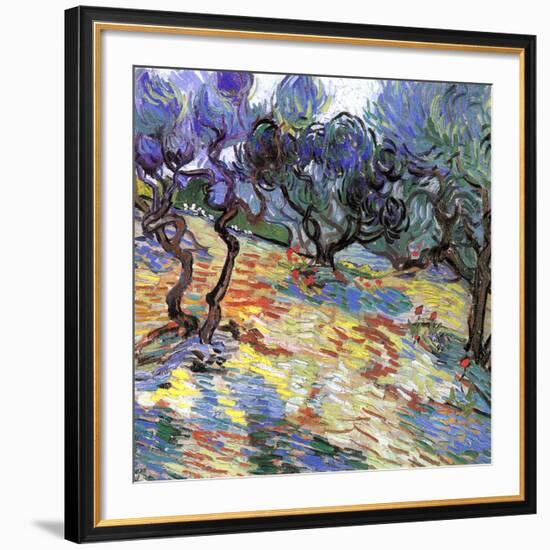 Les oliviers-Vincent van Gogh-Framed Art Print