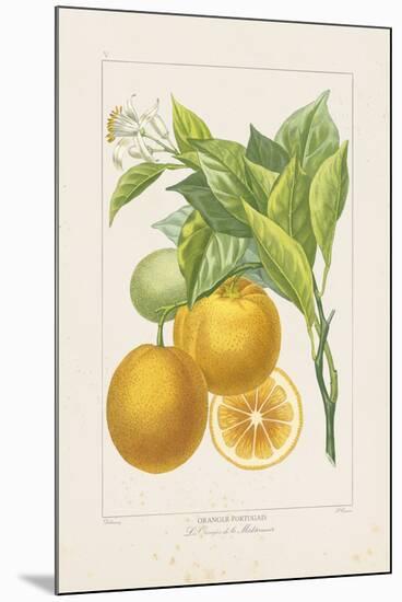 Les Oranges I-A^ Poiteau-Mounted Giclee Print