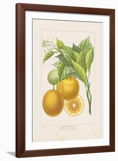 Les Oranges I-A^ Poiteau-Framed Giclee Print