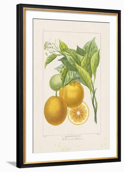 Les Oranges I-A^ Poiteau-Framed Giclee Print