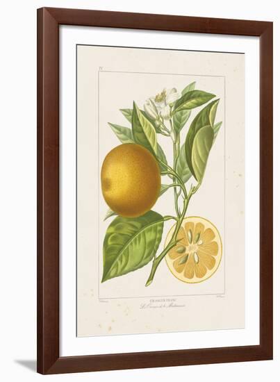 Les Oranges II-A^ Poiteau-Framed Giclee Print