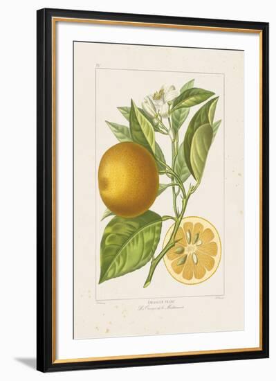 Les Oranges II-A^ Poiteau-Framed Giclee Print