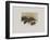 Les Petits Ciseaux-Annapia Antonini-Framed Limited Edition