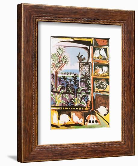 Les Pigeons, c.1957-Pablo Picasso-Framed Art Print