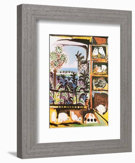 Les Pigeons, c.1957-Pablo Picasso-Framed Art Print