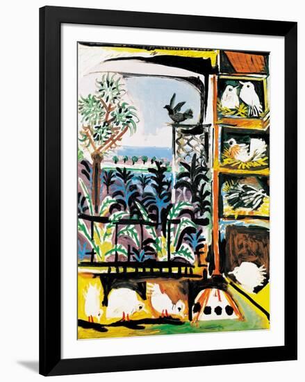 Les Pigeons, c.1957-Pablo Picasso-Framed Art Print