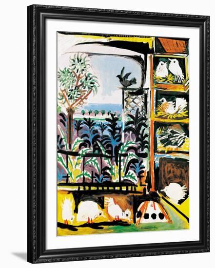 Les Pigeons, c.1957-Pablo Picasso-Framed Art Print