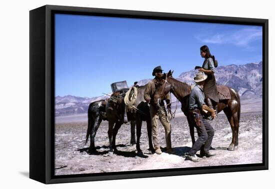 Les Professionnels THE PROFESSIONALS by Richard Brooks with Woody Strode, Robert Ryan and Claudia C-null-Framed Stretched Canvas