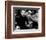 Les Quatre Cents Coups-null-Framed Photo