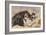 Les Quatre Chatons-Henriette Ronner Knip-Framed Giclee Print