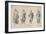 Les Quatre complexions de l'homme-Charles Le Brun-Framed Giclee Print