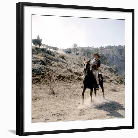 Photo, , large
