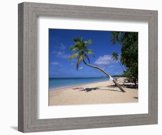 Les Salines Beach, Near Sainte Anne, Martinique, Lesser Antilles-Yadid Levy-Framed Photographic Print