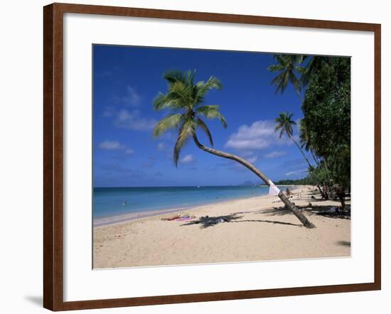 Les Salines Beach, Near Sainte Anne, Martinique, Lesser Antilles-Yadid Levy-Framed Photographic Print