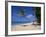 Les Salines Beach, Near Sainte Anne, Martinique, Lesser Antilles-Yadid Levy-Framed Photographic Print