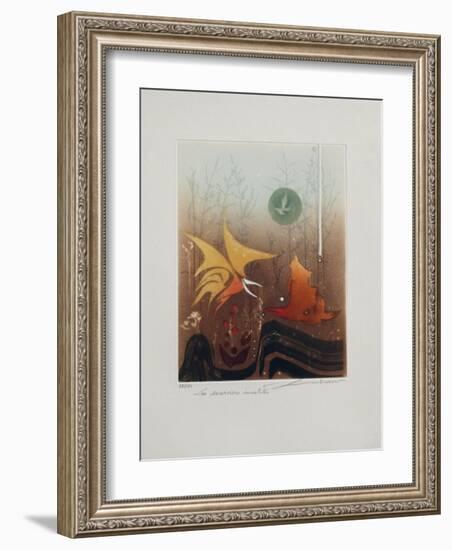 Les Sorciers InsoIItes-null-Framed Limited Edition