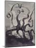 Les Travailleurs De La Mer: the Octopus-Fortuné-Louis Meaulle-Mounted Giclee Print