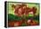 Les Vaches by Van Gogh-Vincent van Gogh-Framed Stretched Canvas