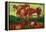 Les Vaches by Van Gogh-Vincent van Gogh-Framed Stretched Canvas