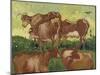 Les vaches, d'après Jacob Jordaens et Van Ryssel-Vincent van Gogh-Mounted Giclee Print