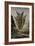 Les Voix du soir-Gustave Moreau-Framed Giclee Print