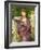 Lesbia and Her Sparrow-Edward John Poynter-Framed Giclee Print