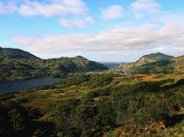 Landscape of Killarney National Park-Leslie Richard Jacobs-Photographic Print