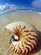Premium Photographic Print