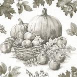 Bountiful Harvest II Sketch-Leslie Trimbach-Art Print