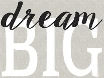 Dream Big Distressed Treatment-Leslie Wing-Giclee Print