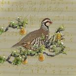 Partridge in a Pear Tree-Leslie Wing-Giclee Print