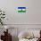 Lesotho Flag Design with Wood Patterning - Flags of the World Series-Philippe Hugonnard-Mounted Art Print displayed on a wall