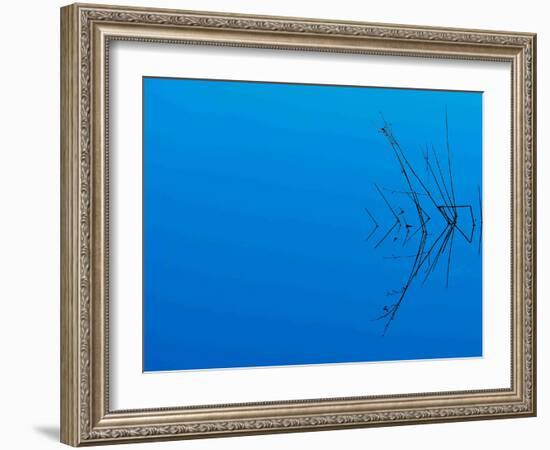 Less Is More-Philippe Sainte-Laudy-Framed Photographic Print