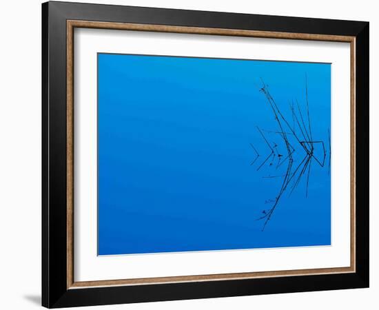 Less Is More-Philippe Sainte-Laudy-Framed Photographic Print