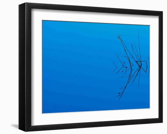 Less Is More-Philippe Sainte-Laudy-Framed Photographic Print