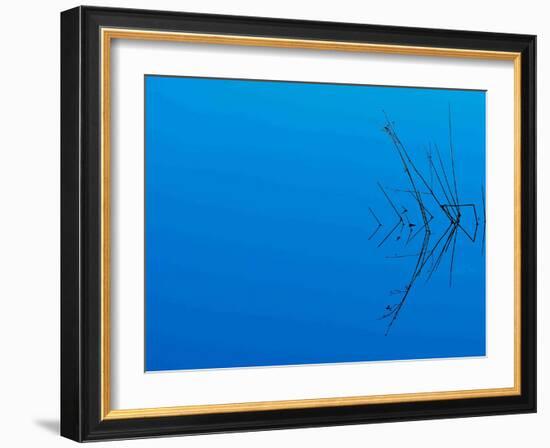 Less Is More-Philippe Sainte-Laudy-Framed Photographic Print