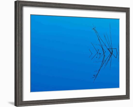 Less Is More-Philippe Sainte-Laudy-Framed Photographic Print