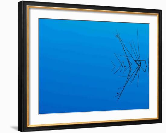 Less Is More-Philippe Sainte-Laudy-Framed Photographic Print