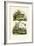 Lesser Duckweed, 1833-39-null-Framed Giclee Print
