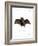 Lesser False Vampire Bat-null-Framed Giclee Print