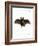 Lesser False Vampire Bat-null-Framed Giclee Print