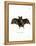 Lesser False Vampire Bat-null-Framed Premier Image Canvas