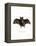 Lesser False Vampire Bat-null-Framed Premier Image Canvas