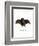 Lesser False Vampire Bat-null-Framed Giclee Print