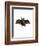 Lesser False Vampire Bat-null-Framed Giclee Print