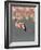 Lesser Flamingo Stretching Wing and Leg-Arthur Morris-Framed Photographic Print